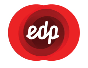 edp-1-300x232